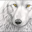 White_Wolf