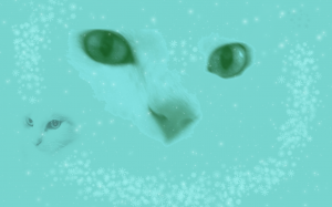 Однажды в новогоднюю ночь...