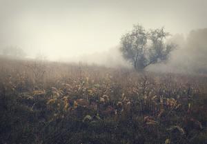 Загадка Седых холмов